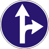 Пътен знак Г4 – Движение само направо или надясно след знака