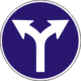 Пътен знак Г6 – Движение само надясно или наляво след знака